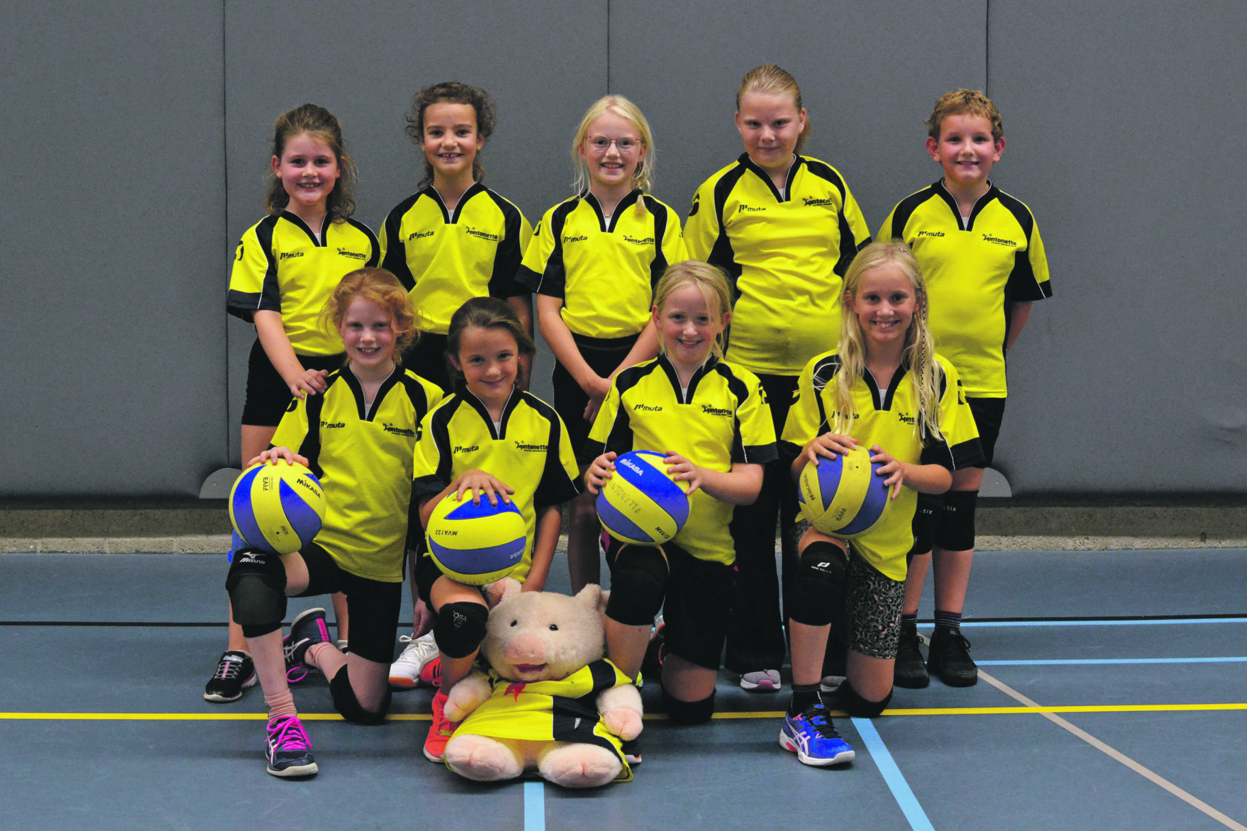 Volleyballen bij Mintonette: ook iets voor jou?