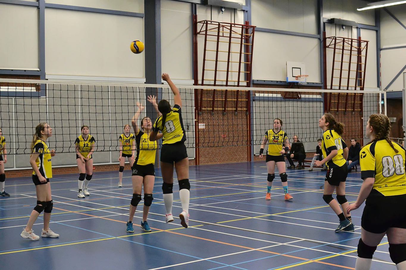 Volleyballen bij Mintonette: ook iets voor jou?