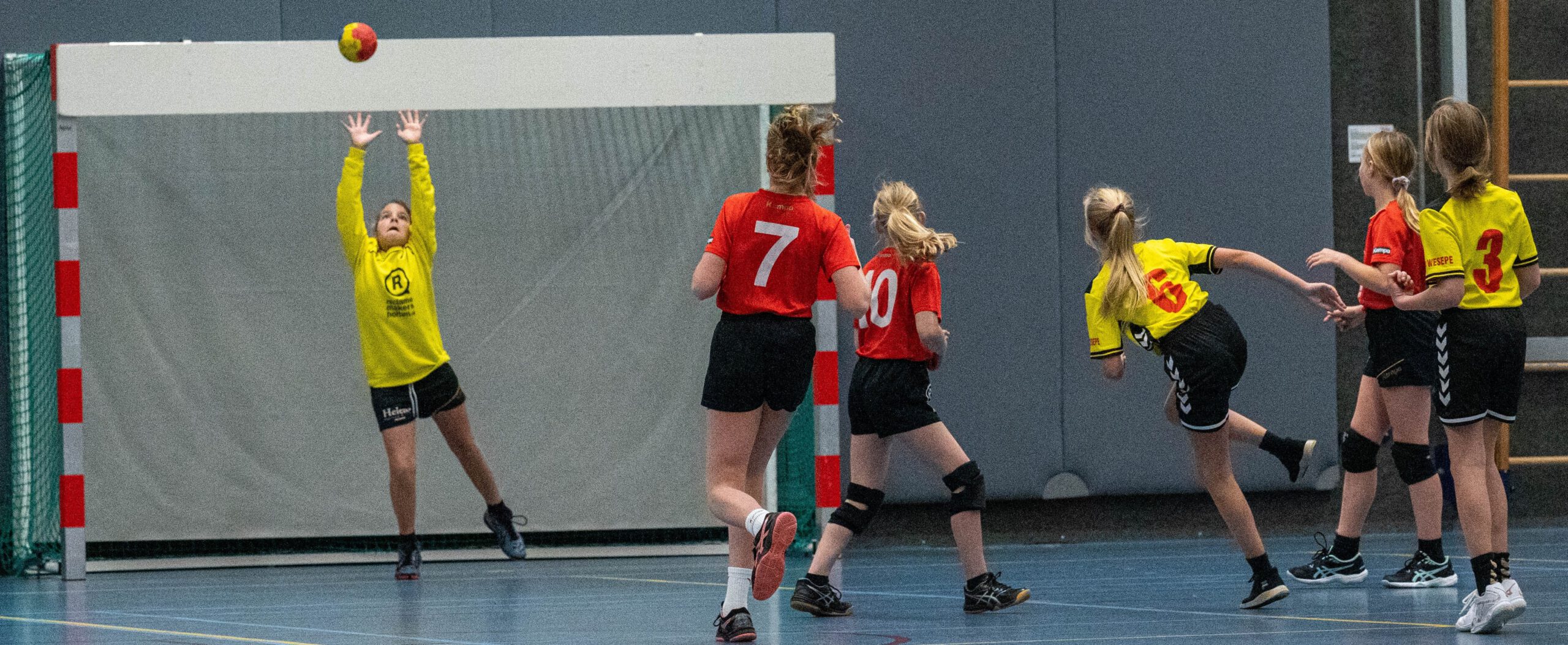 HANDBALVERENIGING HOLTEN